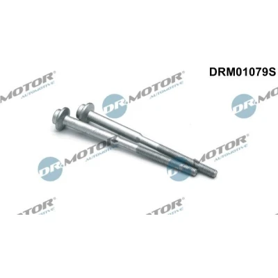 Billede af DR.MOTOR AUTOMOTIVE DRM01079S Skrue, indsprøjtningsdyseholder AUDI: A6 C7 Avant, Sedan, A4 B8 SKODA: Octavia 3 Schrägheck