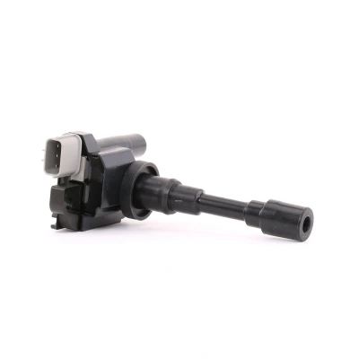 Billede af DELPHI GN10318 12B1 Tændspole 3 12 SUZUKI: SWIFT 3, Liana Hatchback, Alto VI