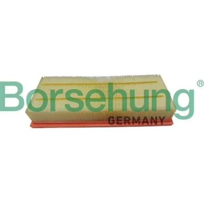 Billede af Luftfilter Borsehung B12403