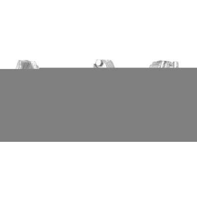 Billede af Bremsekaliber ELSTOCK 86 0508