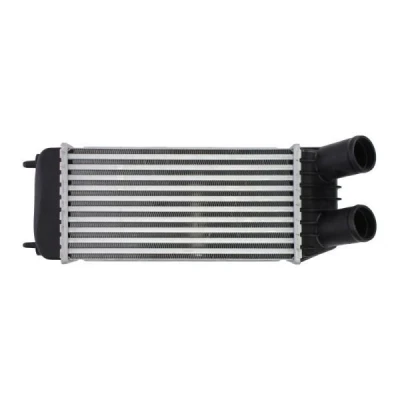 Billede af THERMOTEC DAP006TT Intercooler FIAT: Scudo II Van