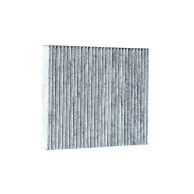 Billede af MAPCO 67606 Kabinefilter Aktivkulfilter 240 209 34 FORD: MONDEO 4 Turnier, S Max Mk1, Galaxy Mk2 MPV