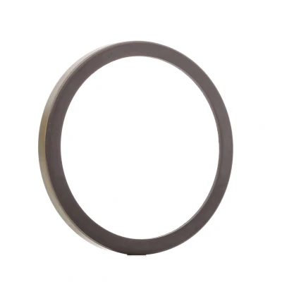 Billede af AIC 55332 ABS Ring magnetisk Bagaksel på begge sider VOLKSWAGEN: Golf 6, Touran I, Plus / Crossgolf, SKODA: Octavia 2 Combi, II Hatchback