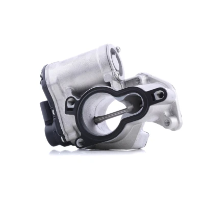 Billede af PIERBURG 7.10334.05.0 EGR Ventil elektrisk Styreventil med pakning NISSAN: Qashqai / Qashqai+2 I, OPEL: Vivaro A Combi, RENAULT: MEGANE 2 Kombi