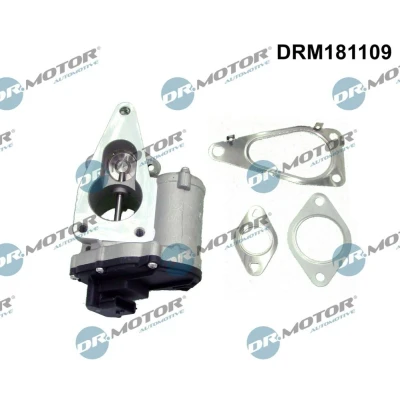 Billede af DR.MOTOR AUTOMOTIVE DRM181109 EGR Ventil elektrisk RENAULT: MEGANE 2 Kombi