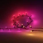 Billede af Philips Hue Festavia LED lyskæde, CCT RGB 40 m