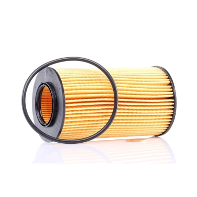 Billede af PURFLUX L307 Oliefilter Filterindsats BMW: 3 Sedan, Touring, 5 LAND ROVER: Freelander I SUV, 75, 75 Tourer