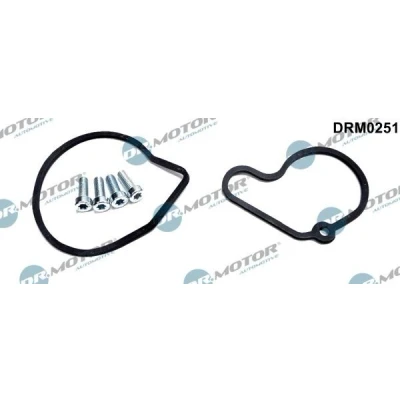 Billede af DR.MOTOR AUTOMOTIVE DRM0251 Reparationssæt til vakuumpumpe VOLKSWAGEN: Polo IV Hatchback