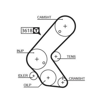 Billede af GATES FleetRunner Micro V Stretch Fit 5563XS Tandrem 131 1248 25 Fiberglas, HNBR (Hydreret akryl nitril butadien gummi) OPEL: Astra H Hatchback