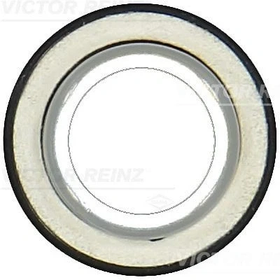 Billede af REINZ 81 10559 00 Krumtapaksel Pakdåse med montagehylster PTFE (Polytetrafluorethylen)