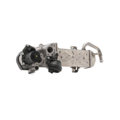 Billede af DRI 717730099 EGR Modul med pakninger, køler VOLKSWAGEN: Polo V Hatchback, Sharan II, Passat B6 Variant, SEAT: Ibiza 4 ST, Leon II Hatchback