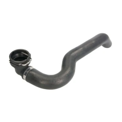 Billede af THERMOTEC DWF257TT Kølerslanger oppe FIAT: Grande Punto Hatchback