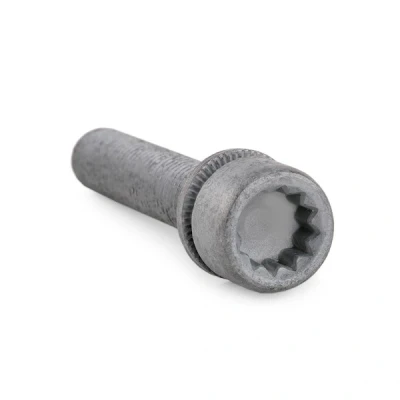 Billede af FEBI BILSTEIN 48817 Skrue, bremsekaliper bagaksel VOLKSWAGEN: Golf 6, Passat CC, B6 Variant, SKODA: Octavia 3 Combi, 2 Combi