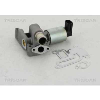 Billede af TRISCAN 8813 24003 EGR Ventil elektronisk med pakninger OPEL: Corsa D Hatchback, Astra H Caravan, G CC