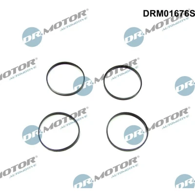 Billede af DR.MOTOR AUTOMOTIVE DRM01676S Pakningssæt, indsugningsmanifold BMW: 5 Touring, X5
