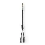 Billede af Stereo Audio kabel 3.5 mm Hanstik 2 x Hunstik Guldplateret 0.20 m Runde Grå / Metal Cover Window Box