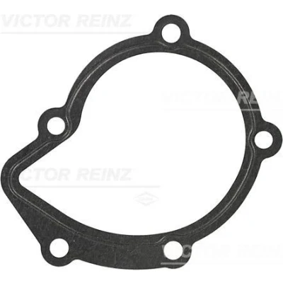 Billede af REINZ 70 25920 30 Pakninger