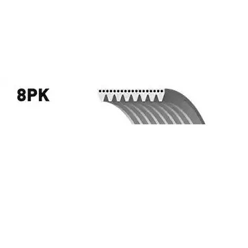 Billede af SNR CA8PK1173 Kileribberem 1173 8 MAZDA: 5, 6 Hatchback