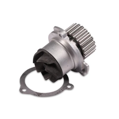 Billede af HEPU P622 Vandpumpe 21 med pakning mekanisk Metal