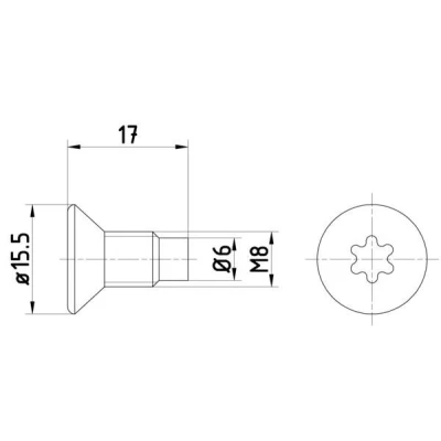 Billede af TEXTAR TPM0004 Skrue, bremseskive RENAULT: TWINGO 2, LAGUNA 3, MEGANE 2 Kombi, NISSAN: MICRA 5, DACIA: SANDERO