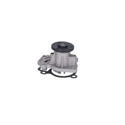 Billede af FEBI BILSTEIN 183289 Vandpumpe med pakning Metal DACIA: Duster SUV