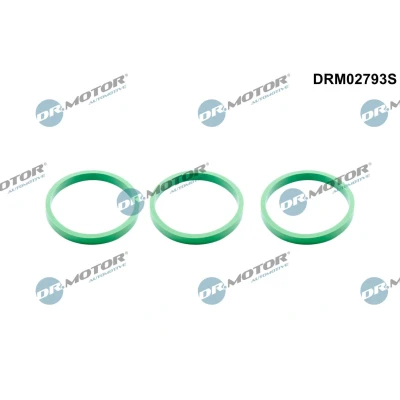 Billede af DR.MOTOR AUTOMOTIVE DRM02793S Pakningssæt, indsugningsmanifold AUDI: A7 Sportback, A6 C7 Sedan, Q5