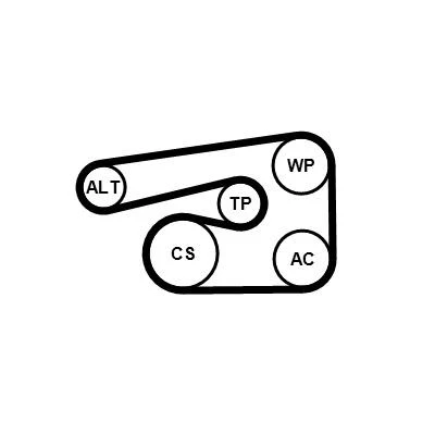 Billede af CONTITECH 5PK1546K1 Kileribberem OPEL: Corsa E Hatchback, Zafira B, D ALFA ROMEO: 159 Sedan