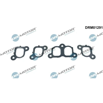 Billede af DR.MOTOR AUTOMOTIVE DRM01291 Pakningssæt, indsugningsmanifold VOLKSWAGEN: Multivan 5 (7HM, Transporter