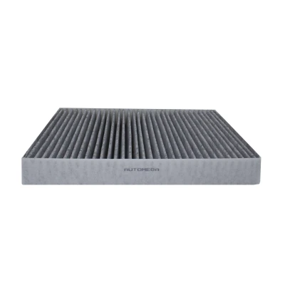 Billede af AUTOMEGA 180049510 Kabinefilter Aktivkulfilter 278 219 41 VOLKSWAGEN: Touareg II