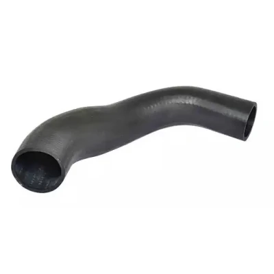 Billede af BUGIAD 88685 Trykslange FORD: MONDEO 3 Kombi