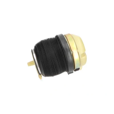Billede af KAVO PARTS SAS 10009 Luftfjeder, undervogn bagaksel AUDI: A6 C6 Avant