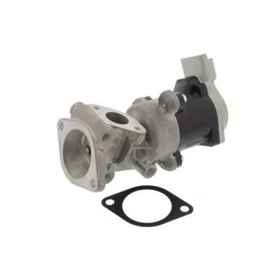 Billede af MAPCO 83404 EGR Ventil elektrisk LAND ROVER: Discovery 3, Range Rover Sport, PEUGEOT: 407 SW, Sedan, CITROËN: C5 III Stationcar, 3