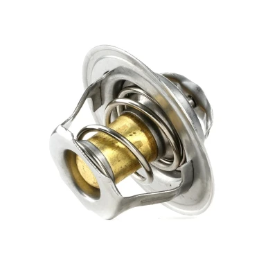 Billede af Termostat, kølemiddel AUTOMEGA 160047310