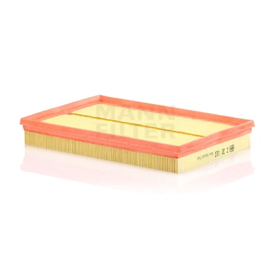 Billede af MANN FILTER C 31 123 Luftfilter 42 209 309 Filterindsats