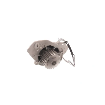 Billede af SKF VKPC 83424 Vandpumpe 20 med pakninger plastik til tandremsdrift PEUGEOT: J5 Ladvogn/Chassis, 405 I Sedan, LADA: Niva