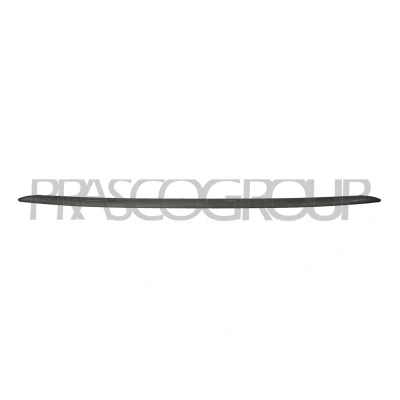 Billede af Pynte /beskyttelsesliste, kofanger PRASCO FT0301861