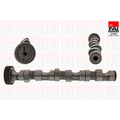 Billede af FAI AutoParts C247 Knastaksel til cylinder 4 6 VOLKSWAGEN: Passat B5 Sedan