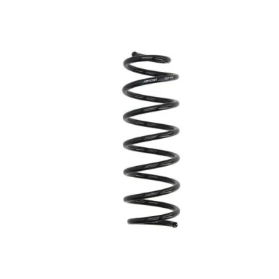 Billede af Magnum Technology SR161MT Fjeder bagaksel RENAULT: MEGANE 3 Coupe