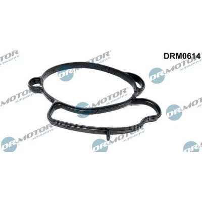 Billede af DR.MOTOR AUTOMOTIVE DRM0614 Indsugningspakning FORD: MONDEO 2 Kombi