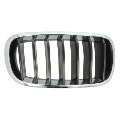 Billede af BLIC 6502 07 00969922P Kølergitter foran til højre krom, sort BMW: X5