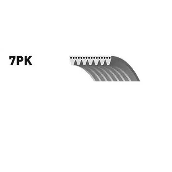 Billede af SNR CA7PK2711 Kileribberem 2711 7 FORD: Transit Mk6 Bus, Mk5 Ladvogn/Chassis