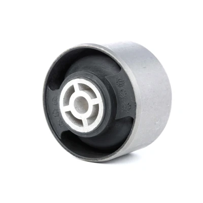 Billede af SASIC 8091161 Holder, motorophæng Gummimetalleje oppe til højre PEUGEOT: 206 Hatchback, 205 II 307 CITROËN: C5 I Stationcar