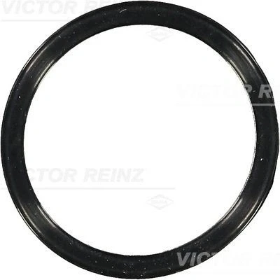 Billede af REINZ 70 36583 00 Pakninger FORD: FIESTA 6