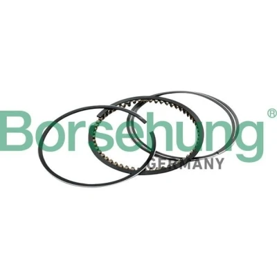 Billede af Stempelringsæt Borsehung B10367