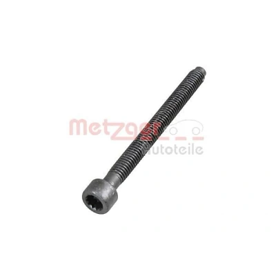 Billede af METZGER 0872003S Skrue, indsprøjtningsdyseholder VOLKSWAGEN: Lupo / 3L, Touran I, Passat B6 Variant, SEAT: Altea, AUDI: A3 Sportback