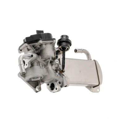 Billede af PIERBURG 7.09720.04.0 EGR køler med pakning VOLKSWAGEN: Multivan 5 (7HM, Transporter