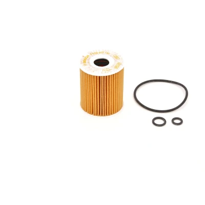 Billede af BOSCH F 026 407 144 Oliefilter med pakninger Filterindsats SKODA: Fabia 2, SEAT: Ibiza 4, 4 ST, VOLKSWAGEN: Polo V Hatchback
