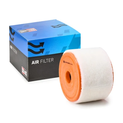 Billede af CHAMPION CAF101081R Luftfilter 122 169 Filterindsats AUDI: A6 C7 Avant, Sedan, A7 Sportback