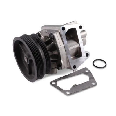Billede af Vandpumpe HEPU P1033