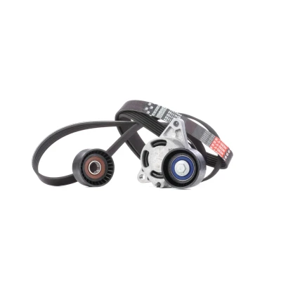 Billede af GATES K046PK1795 Kileribberem ThermalPro OPEL: Vivaro A Combi